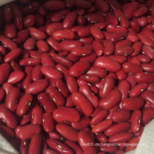 New Crop Red Kidney Bean (180-200)